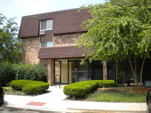 910 E Old Willow Unit 207, Prospect Heights, IL 60070