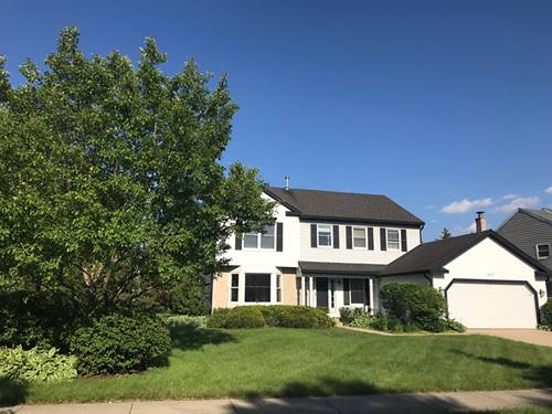 317 Lakeview, Buffalo Grove, IL 60089