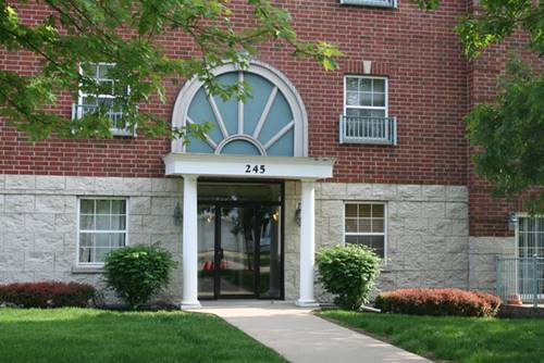 245 W Johnson Unit 104, Palatine, IL 60067