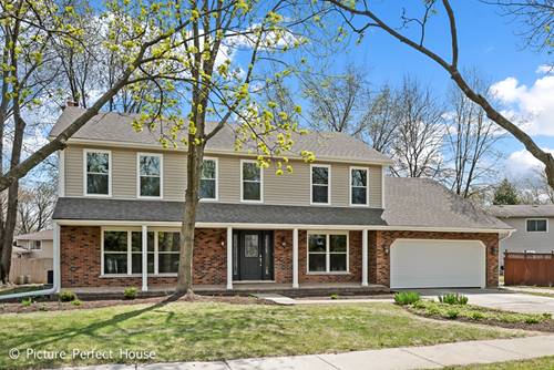 1310 Frederick, Naperville, IL 60565