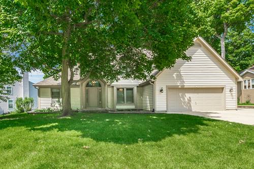 425 Windham, Carpentersville, IL 60110