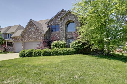 13226 Vicarage, Plainfield, IL 60544