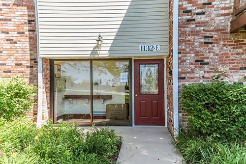 1132 Hinswood Unit 205, Darien, IL 60561