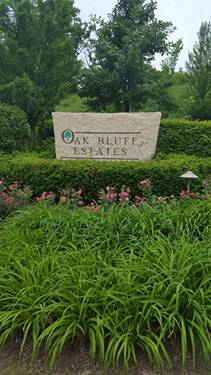 LOT 16 Oak Bluff, Woodridge, IL 60517