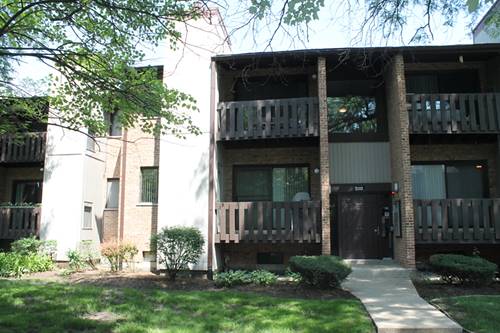 320 Sheridan Unit 1C, Willowbrook, IL 60527