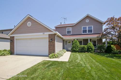 45 E Fabish, Buffalo Grove, IL 60089