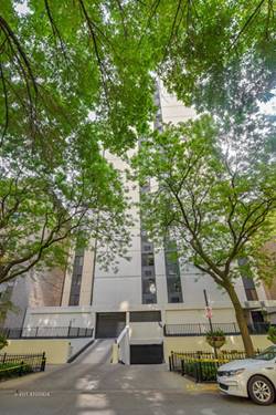 1339 N Dearborn Unit 14H, Chicago, IL 60610