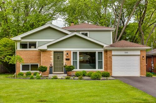 1300 Carlisle, Deerfield, IL 60015