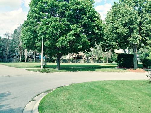 Lot 8 Grays, Oswego, IL 60543