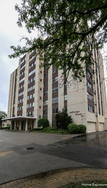 141 N La Grange Unit 705, La Grange, IL 60525