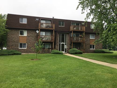 19380 Wolf Unit 12, Mokena, IL 60448