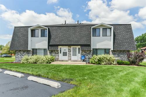 16233 Apple Unit 1, Tinley Park, IL 60487