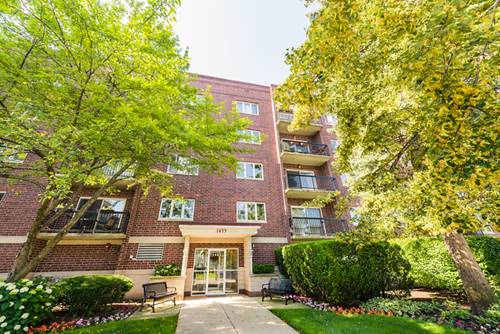 1433 Perry Unit 203, Des Plaines, IL 60016