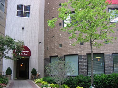 40 E 9th Unit 315, Chicago, IL 60605