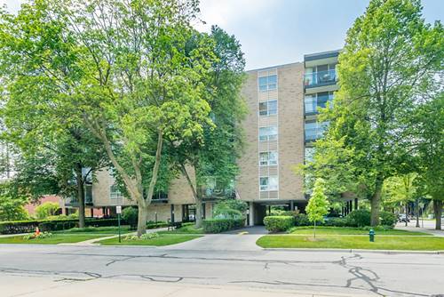 424 Park Unit 206, River Forest, IL 60305