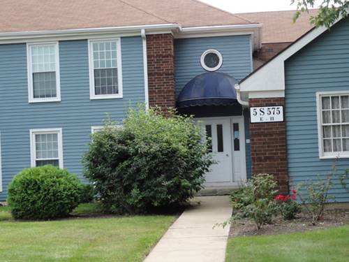 5S575 Paxton Unit 3-E, Naperville, IL 60563