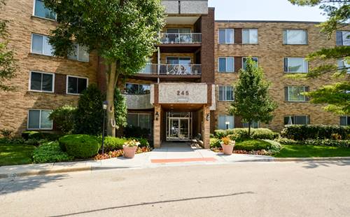 245 S Park Unit 217, Palatine, IL 60074