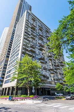 1000 N Lake Shore Unit 1102, Chicago, IL 60611