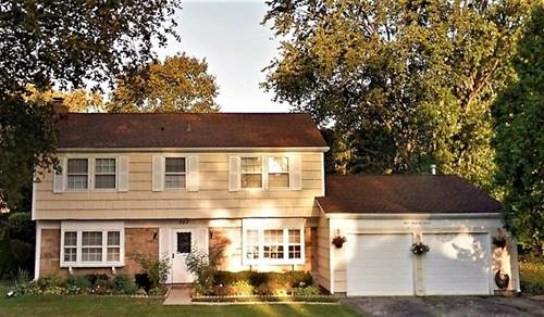 307 Indian Hill, Buffalo Grove, IL 60089