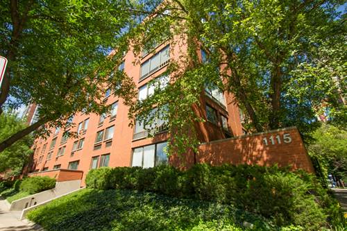 1115 S Plymouth Unit 114, Chicago, IL 60605