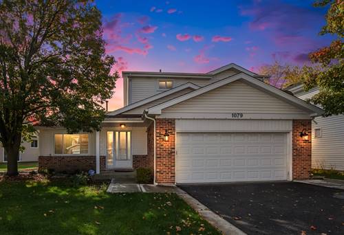 1079 E Meadow Lake, Palatine, IL 60074