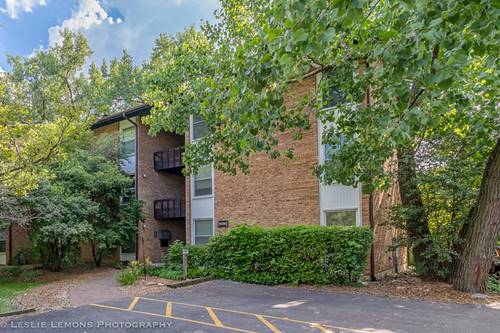 5539 E Lake Unit 1-B, Lisle, IL 60532