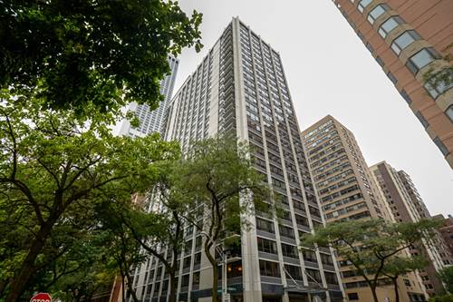 222 E Pearson Unit 1009, Chicago, IL 60611