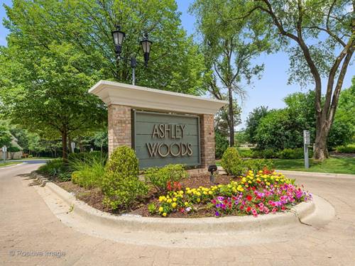11467 Ashley Woods, Westchester, IL 60154