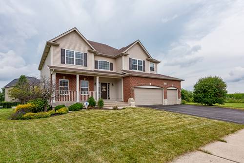 25139 Fieldbrook, Plainfield, IL 60544