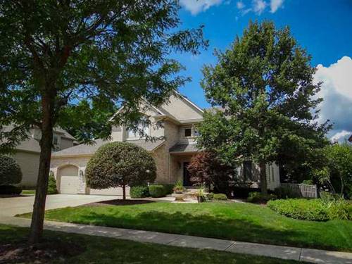 6031 Rosinweed, Naperville, IL 60564