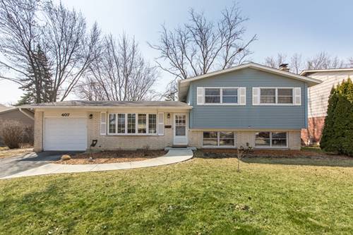 407 W Braeside, Arlington Heights, IL 60004