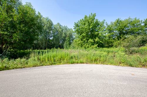 Lot 2 Balsam, Long Grove, IL 60047