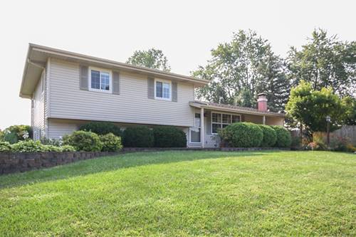 2906 Rydal, New Lenox, IL 60451