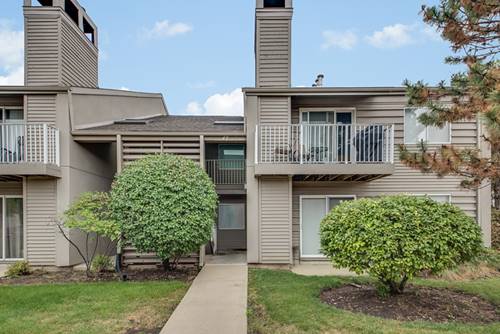 42 N Park Unit 2, Lombard, IL 60148