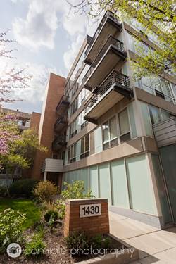 1430 S Michigan Unit 204, Chicago, IL 60605