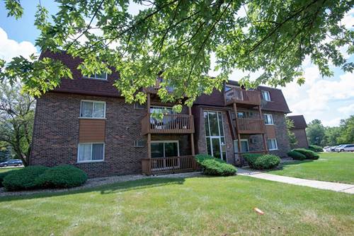 19330 Wolf Unit 2, Mokena, IL 60448