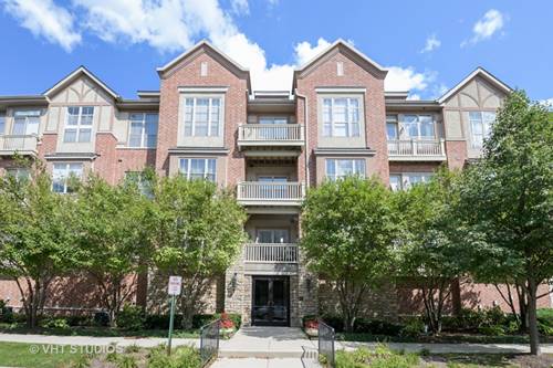 1781 Tudor Unit 206, Northbrook, IL 60062