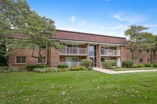 1110 Mercury Unit 2A, Schaumburg, IL 60193