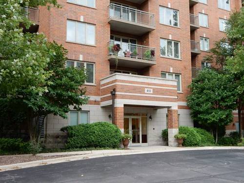 410 S Western Unit 306, Des Plaines, IL 60016