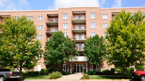 1476 N Perry Unit 207, Des Plaines, IL 60016