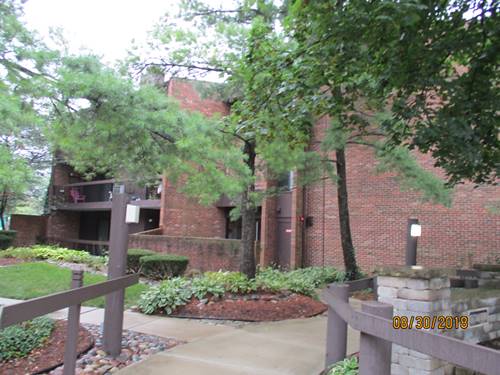 14511 Central Unit G1, Oak Forest, IL 60452