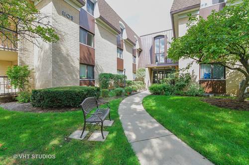 1105 N Mill Unit 119, Naperville, IL 60563