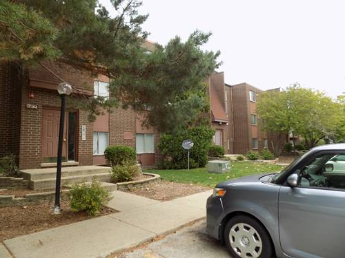 730 Court Of Birch Unit 4, Vernon Hills, IL 60061