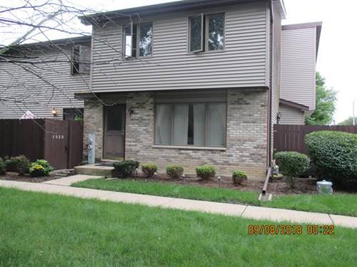 1022 Schoolgate Unit 3, New Lenox, IL 60451