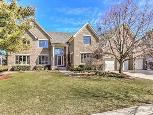 814 Winfal, Schaumburg, IL 60173