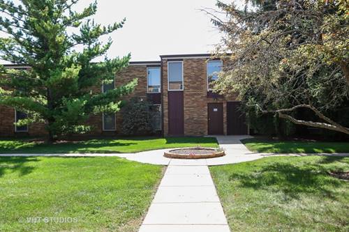 1320 Lore Unit 2-112, Lombard, IL 60148