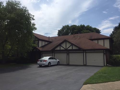 2290 N Enlund Unit 8, Palatine, IL 60074