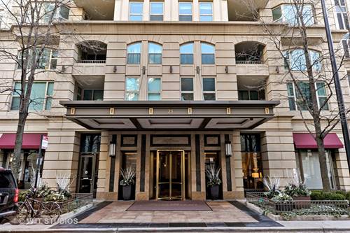 25 E Superior Unit 4201, Chicago, IL 60611