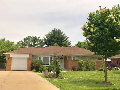 917 S Hi Lusi, Mount Prospect, IL 60056