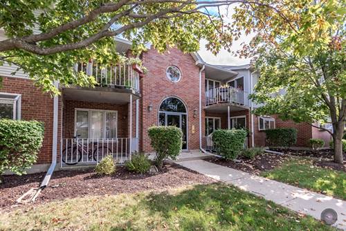 1214 Chalet Unit 204, Naperville, IL 60563